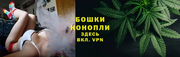 a pvp Инсар