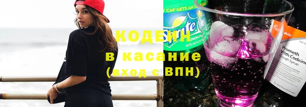 гашик Иннополис