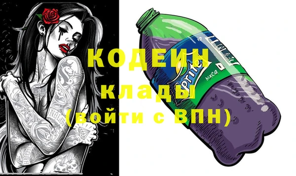 гашик Иннополис