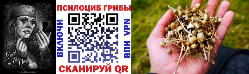 Галлюциногенные грибы прущие грибы  Искитим 